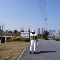张伊娜