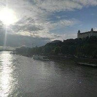 鱼流浪