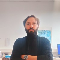 Mohamed Hassoun, Phd