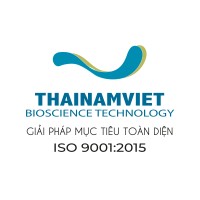 Thái Nam Việt