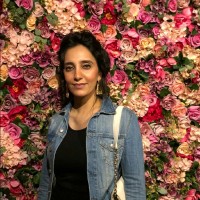 Mina Azam