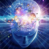 بومیان دیجیتال