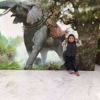 崔晓宁