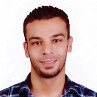 Tamer Gamal Mohamed