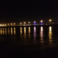 علي الهلالي