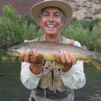 Arthur Goldman