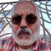 Zahi Bahi
