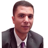 Ibrahim Hashim Abdel Gawaad