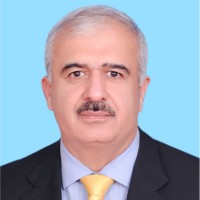 Raja Imran Naseeb - Mlibf Cemap