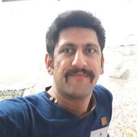 Parsa Afshin