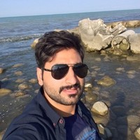 hamid raoof