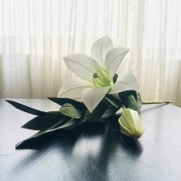 Test Test