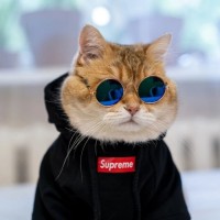 Артём Угоренко