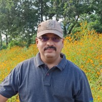 Mukul Purohit