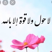 Abeer Q