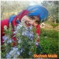 Shohreh Malik