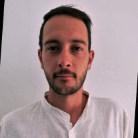 Davide Radice