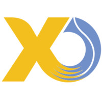 XO International