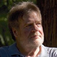 Tom Lapham