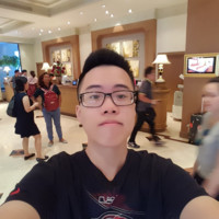 Viet Duong Hoang