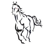 Equicom Syndications