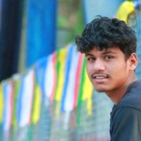 Krishna Sewa