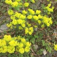 张功刚