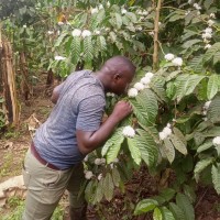 Mutebi Jjuuko Emmanuel