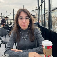 Aslı Yağmur Ozan