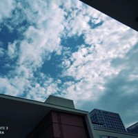 王亮亮