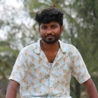 Selvaraj P