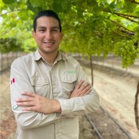 Hugo Villalobos Rojas