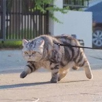 李煊赫