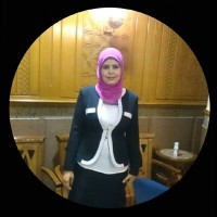 Neveen Mohamed Abd ELrahman