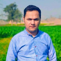 Najam Bilal