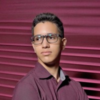 João Henrique Vianna Ribeiro