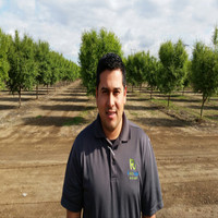 Miguel Madrigal