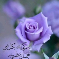 شهرزاد مذكور
