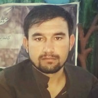 Shekib Safi
