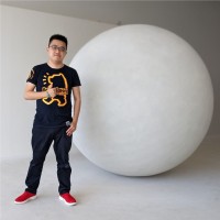 Lucas Wang
