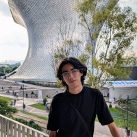 Luis Antonio Avila Mares