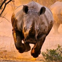 Fredy Alexander Sanchez Sanchez