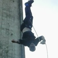 Roberto 4V1
