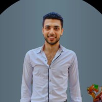 Hesham Mohamed Al-Sayed