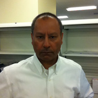 Shockley Ahmed