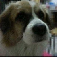 陈敏政