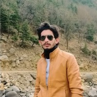 Muhammad Rauf