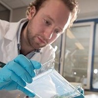 Michel Verwoolde, Phd