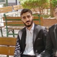 Mostafa Emam