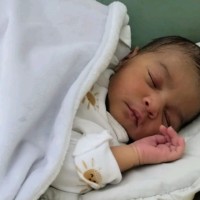 Abdelgadir Mohamed